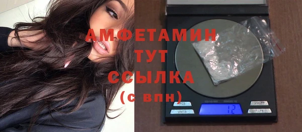 спиды Богданович