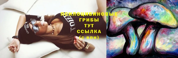 ПСИЛОЦИБИНОВЫЕ ГРИБЫ Богородицк