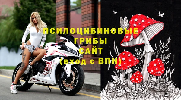 ПСИЛОЦИБИНОВЫЕ ГРИБЫ Богородицк