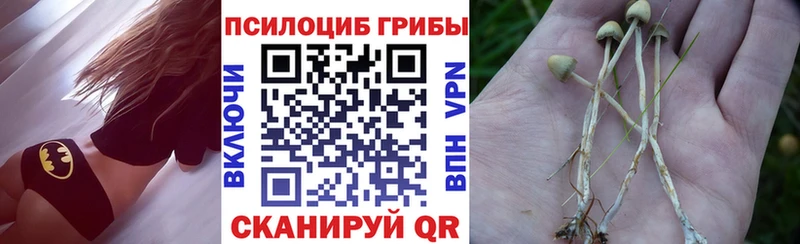 Купить закладки  Демидов  Галлюциногенные грибы прущие грибы 